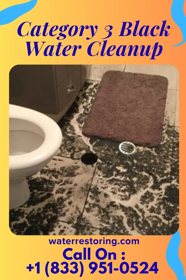 Category 3 Black Water Cleanup in Bethlehem, GA