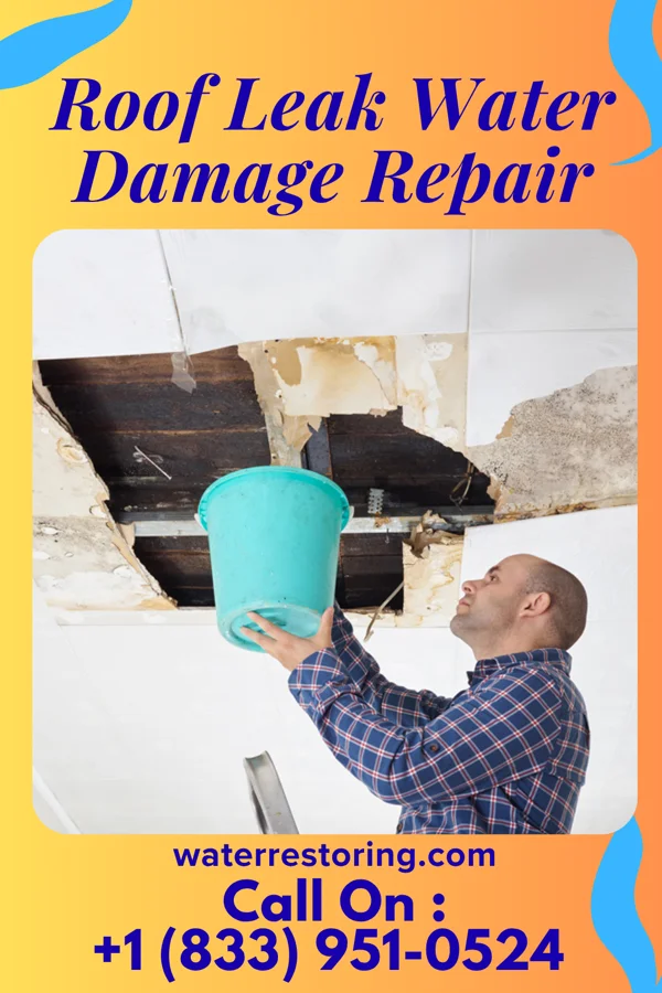 Roof Leak Water Damage Repair in Bethlehem, GA
